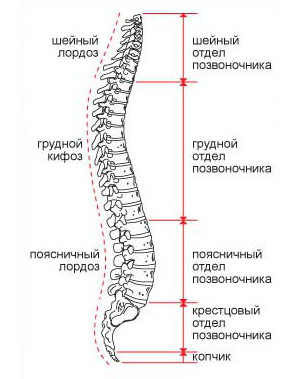Нейрохирург консультация